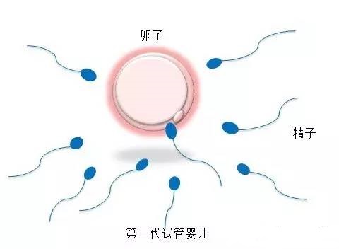 三代试管生儿子生殖中心